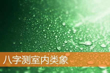 八字测室内类象